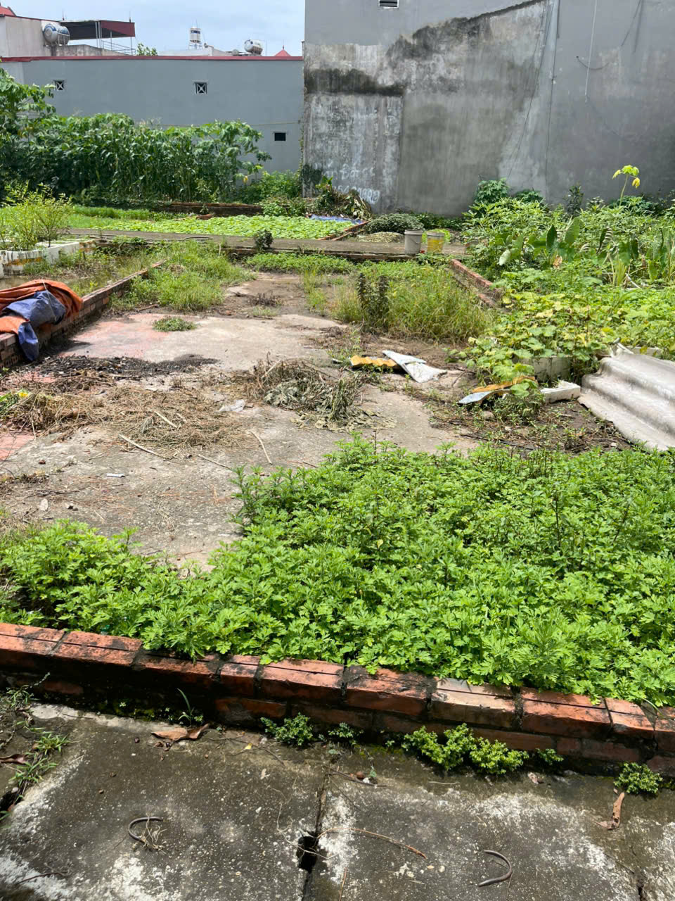 Bán đất Thị Trấn Phúc Thọ, Thành phố Hà Nội. Mảnh đất có vị trí chiến lược pháp lý an toàn, tiềm năng sinh lời. DT 48m, MT 4.5m