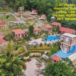  5000m2 - 1