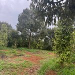  39000m2 - 4