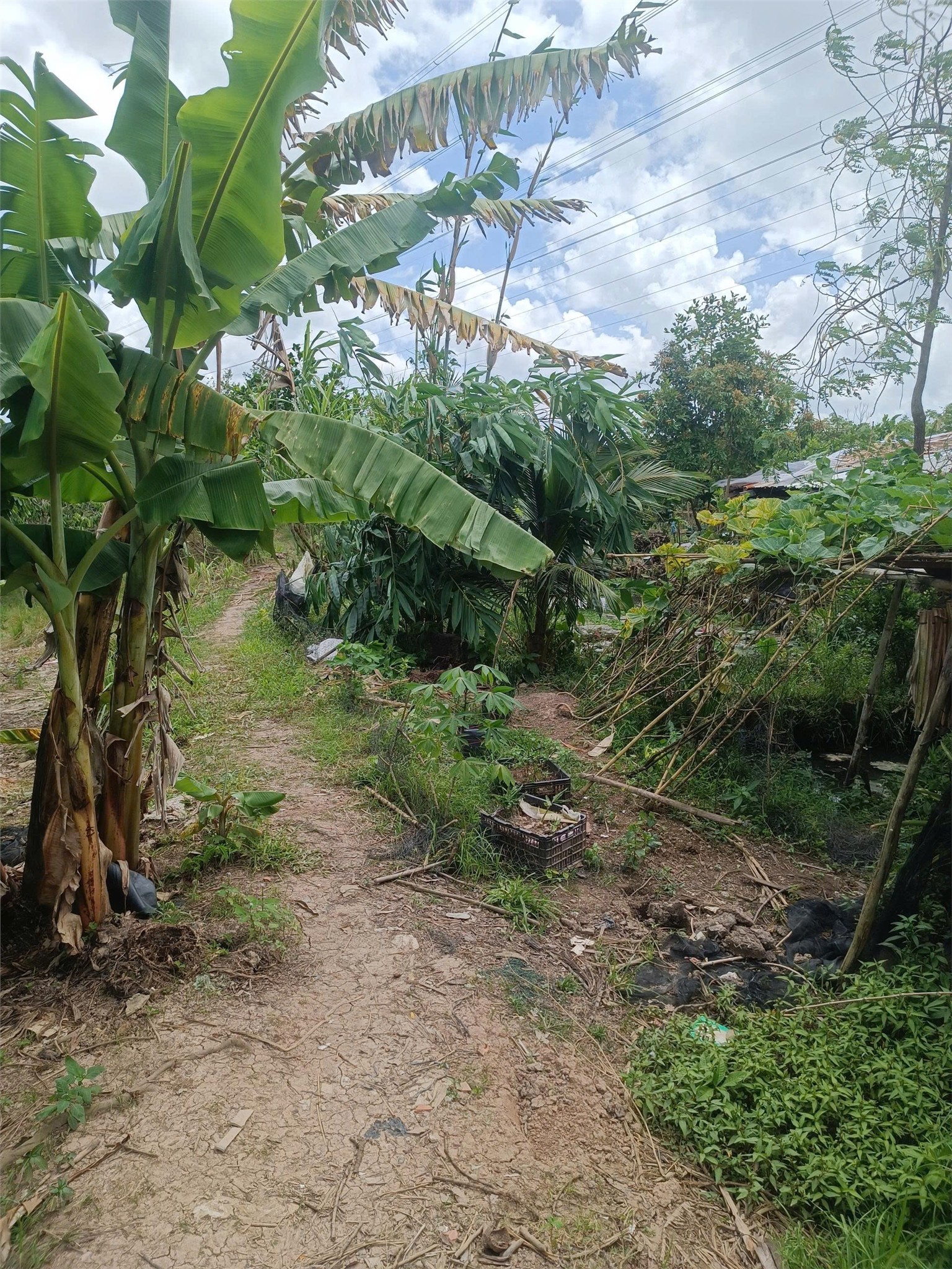 ĐẤT ĐẸP - GIÁ TỐT - Bán GẤP Lô Đất Tiềm Năng Tại Phường Thường Thạnh, Quận Cái Răng, Cần Thơ