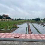  100m2 - 5