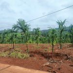  1000m2 - 1