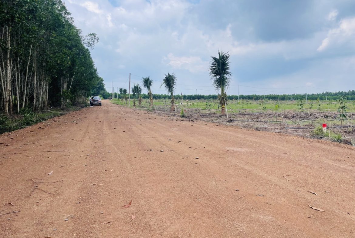 250 TRIỆU – 1000m² ĐẤT NGAY ĐƯỜNG XUYÊN TÂM ĐỒNG PHÚ
