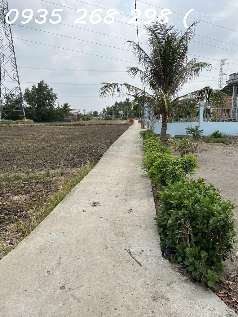 Đất nền giá hấp dẫn tại xã Tân Trạch Cần Đước, Long An.