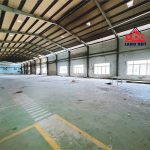  5000m2 - 6