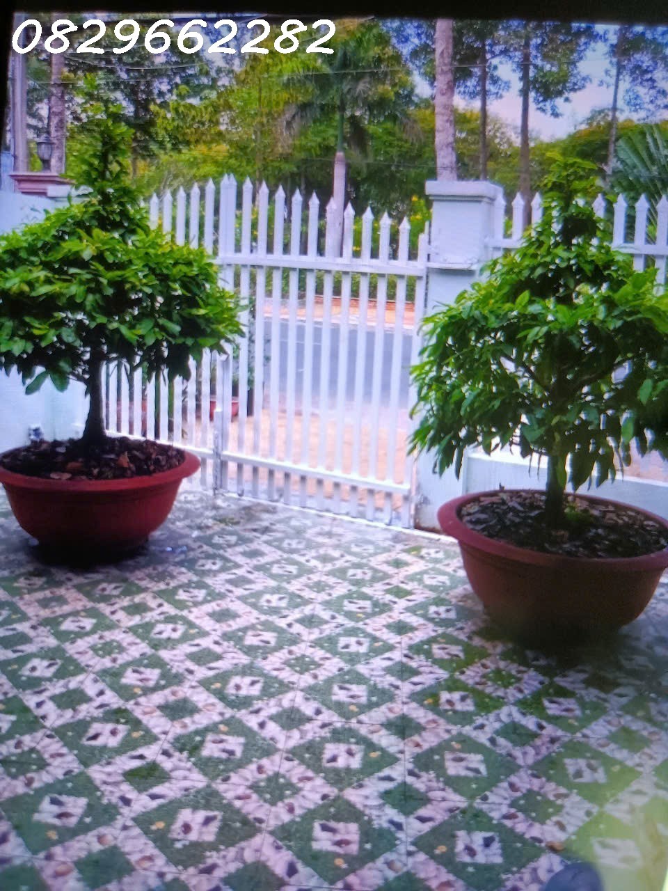 Bán Nhà Mặt Phố Đường Tôn Đức Thắng Sa Đéc- Lá Phổi Xanh Ngay Lòng Thành Phố Ngàn Hoa.