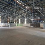  17000m2 - 1