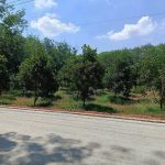  1200m2 - 3