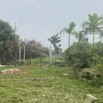  3000m2 - 5