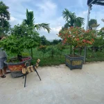  3000m2 - 4