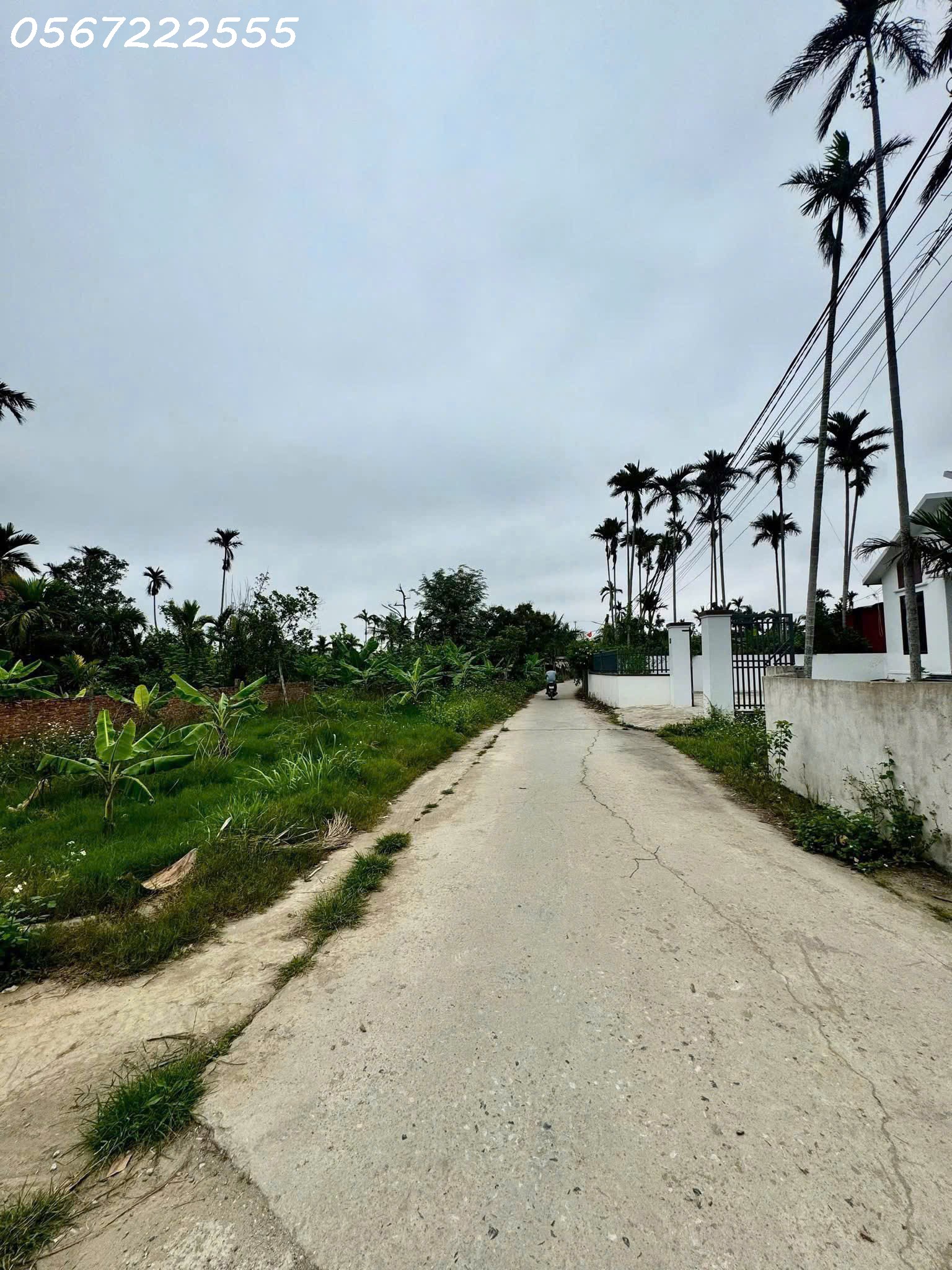 SIÊU PHẨM ĐẤT TỔ 06 HOÀ NGHĨA – NGANG 6M – GIÁ 6XX TRIỆU!