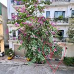  60m2 - 3