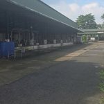  29000m2 - 4