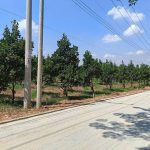  1200m2 - 4