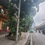  37m2 - 4