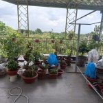 82m2 - 6