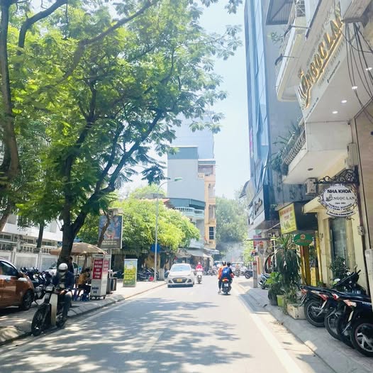 Mặt phố VIP Ba Đình – diện tích 100m – chỉ 230tr/m² – kinh doanh sầm uất