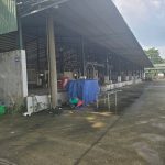  29000m2 - 6