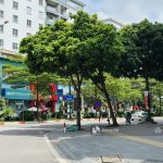  100m2 - 1