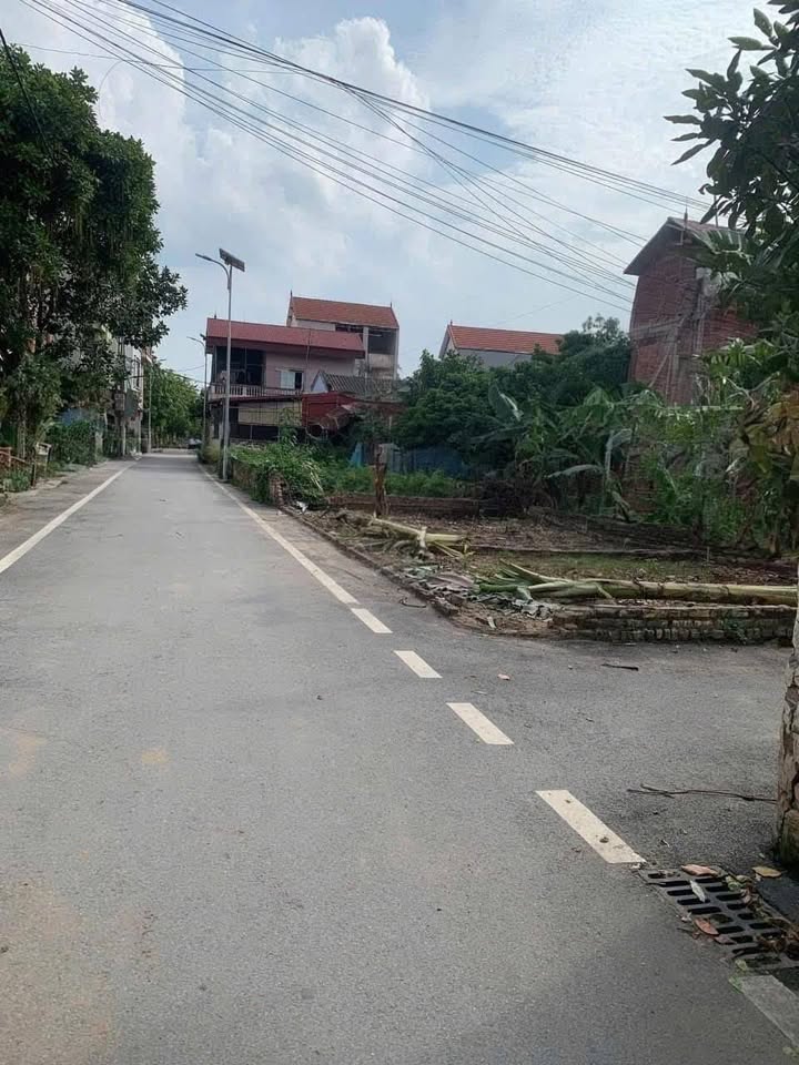 LÔ ĐẤT GÓC HIẾM – SINH LỜI NGAY – 52m² HOÀI ĐỨC – CHỈ NHỈNH 4 TỶ‼️