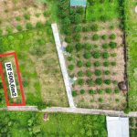  200m2 - 1
