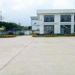  2m2 - 4