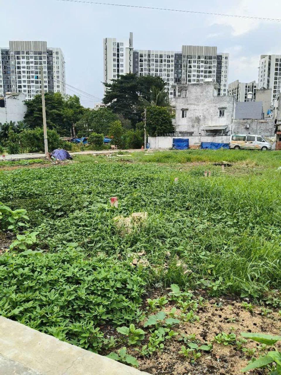 Đất HXT 56m2, Đ.7m, Vuông – Thạnh Xuân 14 Q12