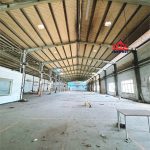 5000m2 - 5
