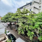  50m2 - 3