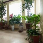  80m2 - 5