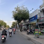  100m2 - 6