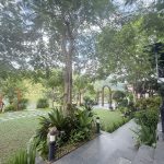  250m2 - 1