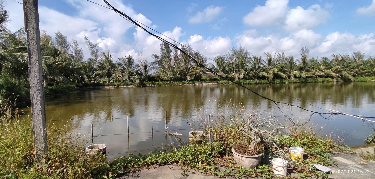 Bán lô đất trang trại 5000m2 tại huyện Kiến Thụy, Hải Phòng, phù hợp phát triển mô hình nông nghiệp, chăn nuôi hoặc đầu