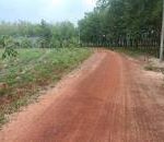  250m2 - 4