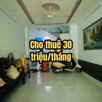  84m2 - 5