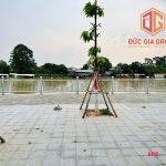  400m2 - 6