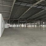  2m2 - 1
