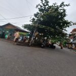  55m2 - 3