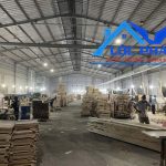  5000m2 - 1