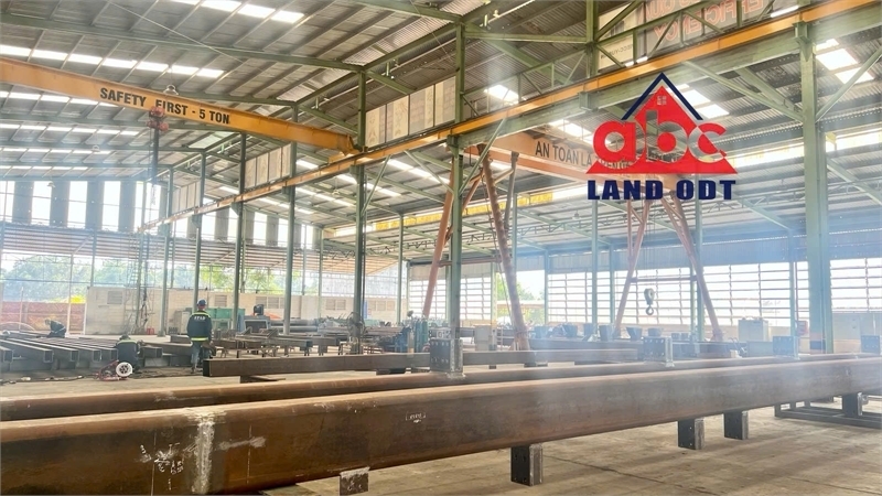 11500m2 - 1