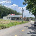  250m2 - 1