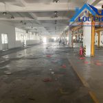  10800m2 - 4