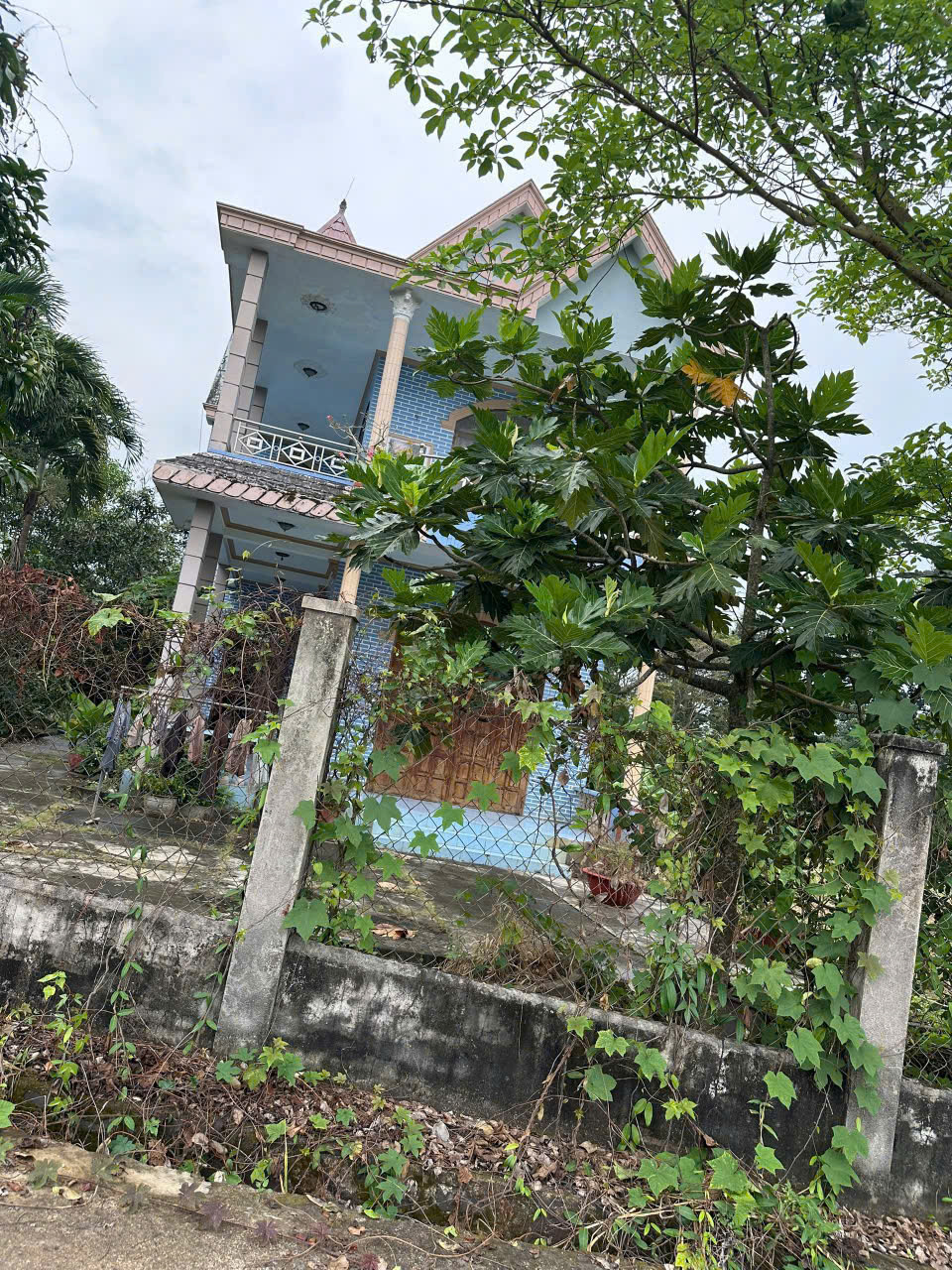 CHÍNH CHỦ BÁN ĐẤT SIÊU ĐẸP THUỘC SUỐI NGHỆ - H. CHÂU ĐỨC- BÀ RỊA VŨNG TÀU