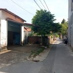  100m2 - 3