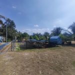 6000m2 - 3