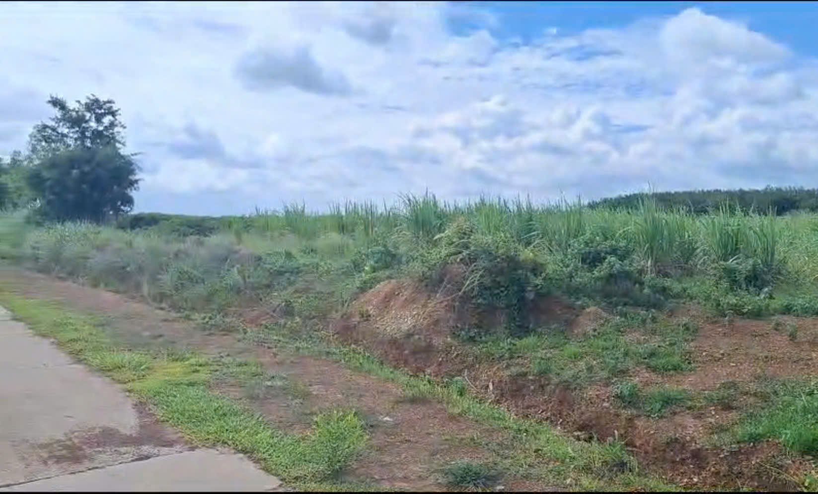 CHÍNH CHỦ CẦN BÁN GẤP LÔ ĐẤT ĐẸP TẠI XÃ EA SÚP, ĐẮK LẮK – GIÁ CHỈ 7 TRIỆU/MÉT NGANG