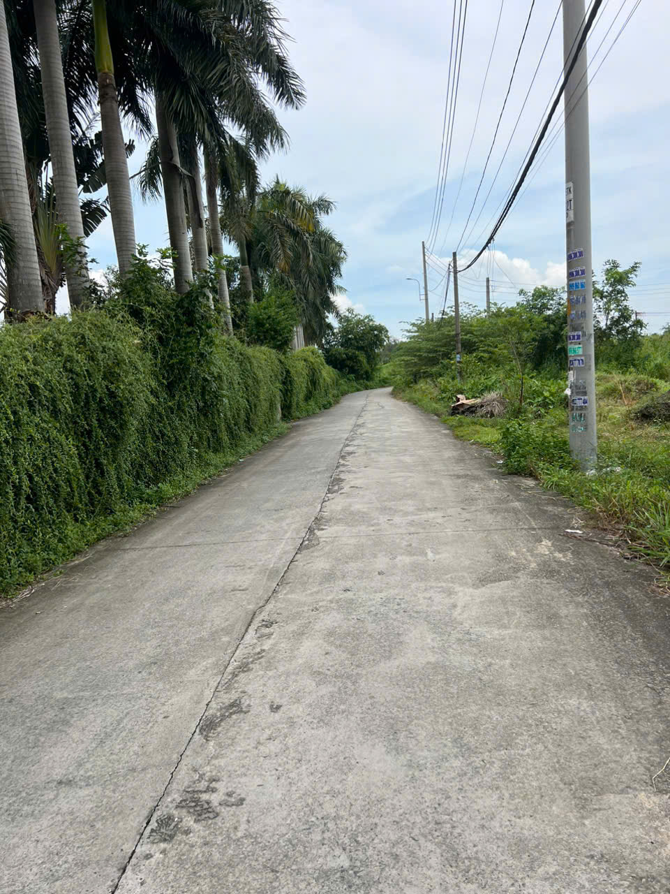 BÁN ĐẤT MẶT TIỀN LÊ THỊ KIM – XUÂN THỚI SƠN – HÓC MÔN