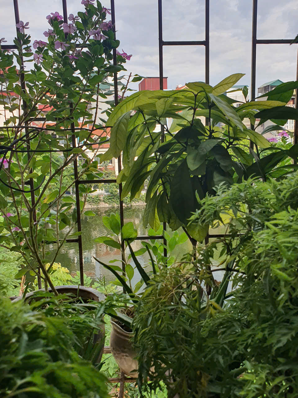 BÁN NHÀ CHÍNH CHỦ NGÕ 158 NGỌC HÀ – VIEW HỒ – VỊ TRÍ ĐẮC ĐỊA