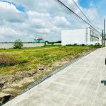  100m2 - 1