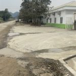  1000m2 - 6